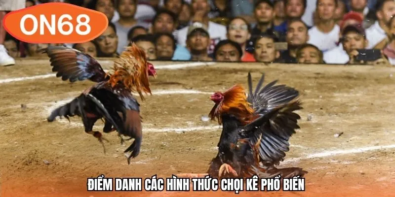 Điểm danh các hình thức chọi kê phổ biến